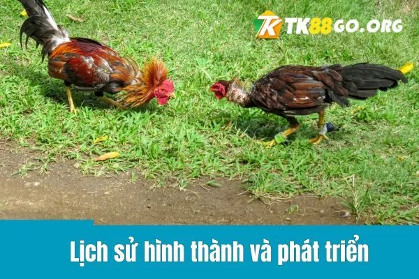 Đá Gà Mạng